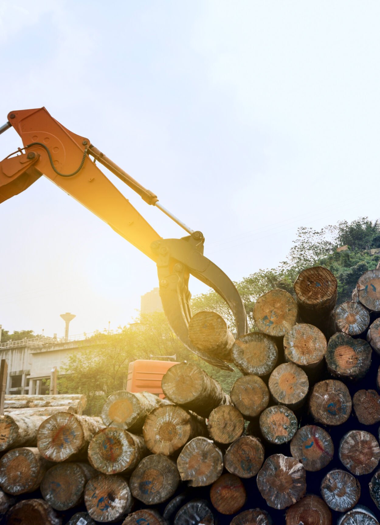 Wood processing factory